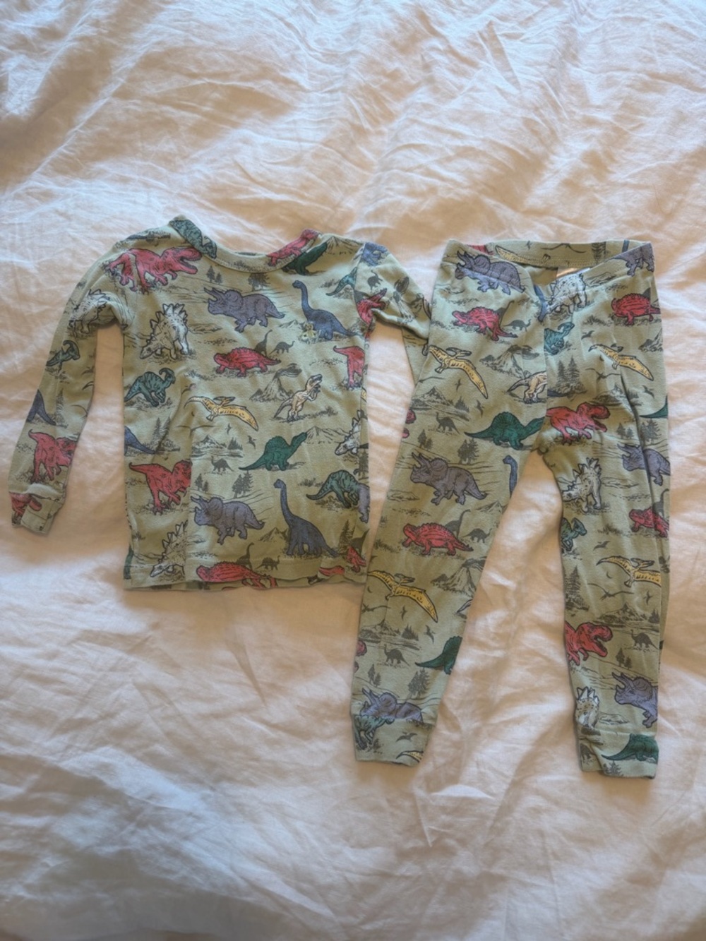 GAP: Kids Green Dinosaur Print Pajama Set - 2T